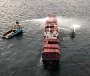 Last shipment of books printed overseas caught in containership fire 