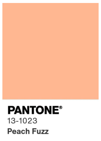 Pantone -Peach Fuzz 