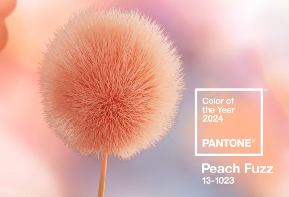 Pantone Colour of the year 25th anniversary 