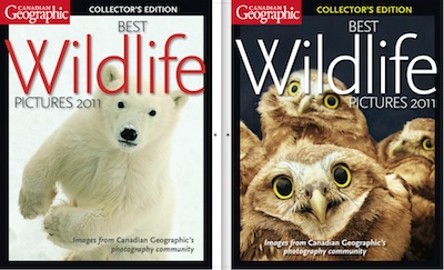 The front and back images of Canadian Geographic's Best Wildlife Pictures 2011