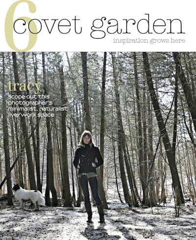 The Covet Garden issue 6 cover. 