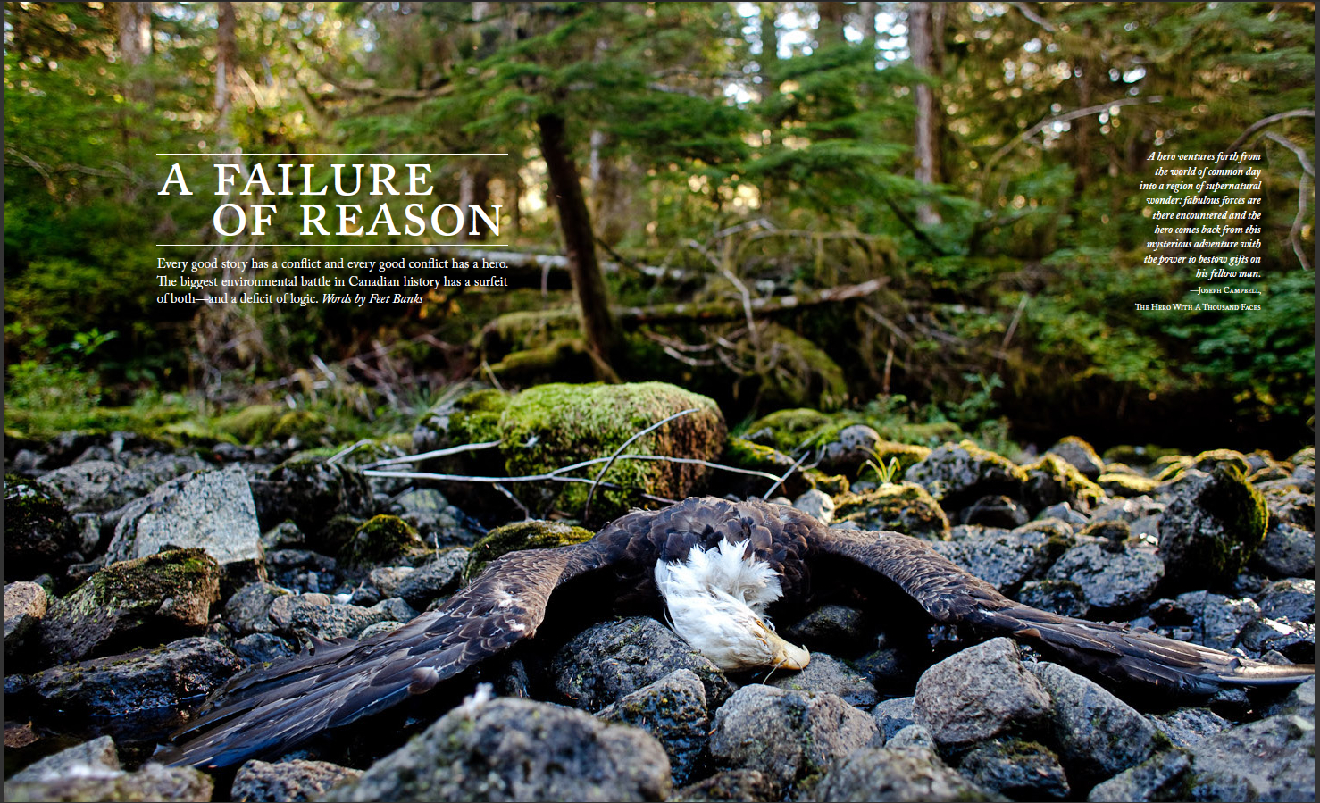 A photo spread in the new Mountain Life Annual