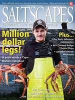 Saltscapes, Jan/Feb 2012